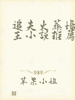 追夫火葬场双男主小说推荐