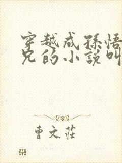 穿越成孙悟空师兄的小说叫什么