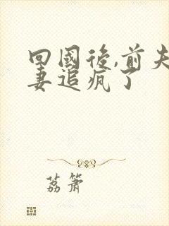 回国后,前夫追妻追疯了