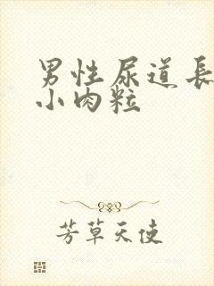 男性尿道长好多小肉粒