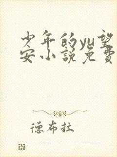 少年的yu望王安小说免费阅读