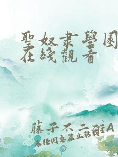 圣奴隶学园动漫在线观看