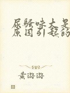 尿骚味大是什么原因引起的