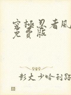 究极忍者风暴4免费版