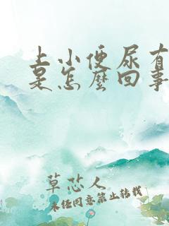 上小便尿有味道是怎么回事