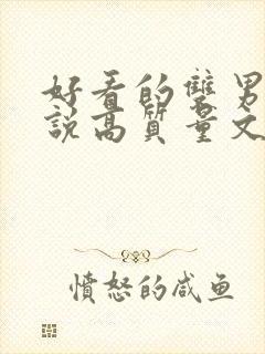 好看的双男主小说高质量文笔好