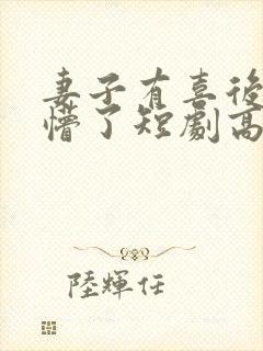 妻子有喜后,我懵了短剧高清