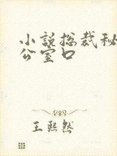 小说总裁秘书办公室口