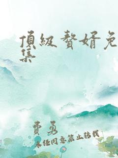 顶级赘婿免费全集