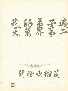 我的弟子遍布诸天万界第二季免费观看动漫