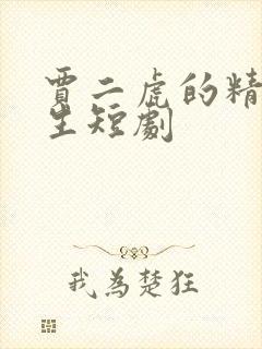 贾二虎的精彩人生短剧