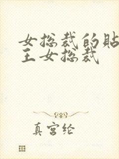 女总裁的贴身兵王女总裁