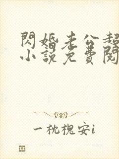 闪婚老公超给力小说免费阅读全文