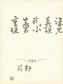 重生我真没想当暖男小说免费阅读全文