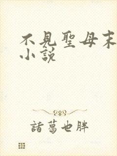 不见圣母末世的小说