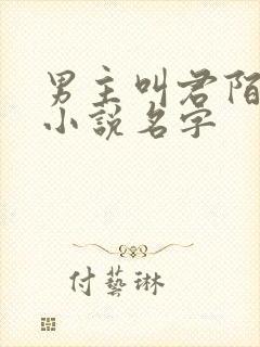 男主叫君陌离的小说名字