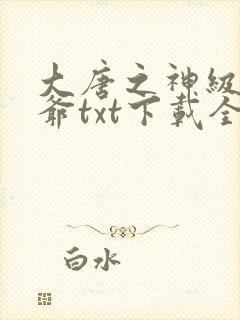 大唐之神级太子爷txt下载全本