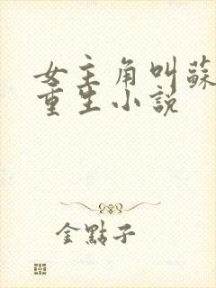 女主角叫苏鸢的重生小说