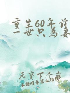 重生60年前这一世只为妻儿短剧全集免费