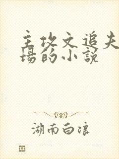 主攻文追夫火葬场的小说