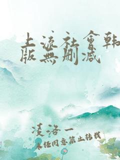 上流社会韩剧原版无删减