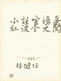 小说官场争雄乔红波全文阅读