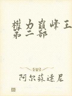 权力巅峰王洪涛第二部