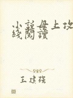 小说母上攻略在线阅读