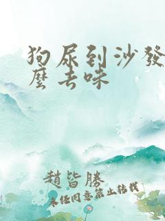 狗尿到沙发上怎么去味