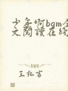 少年啊bgm全文阅读在线听