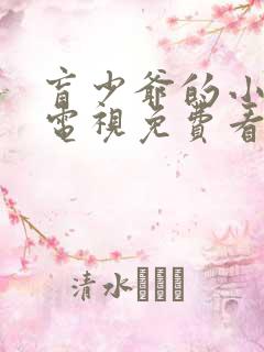 盲少爷的小女仆电视免费看