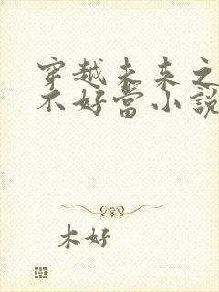 穿越未来之男人不好当小说