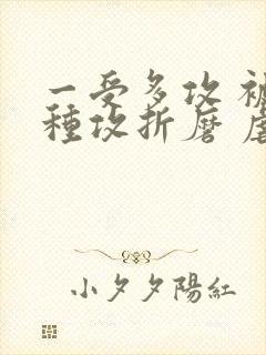 一受多攻 被各种攻折磨 虐文