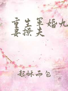 重生军婚九零辣妻撩夫