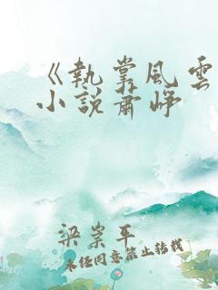 《执掌风云》 小说萧峥