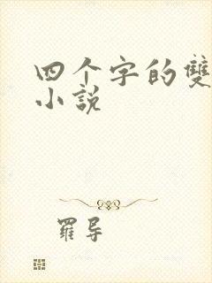 四个字的双男主小说