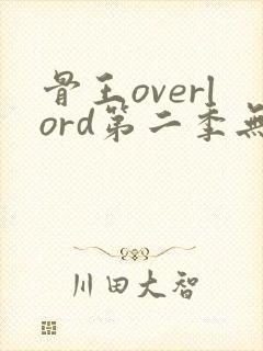 骨王overlord第二季无修版
