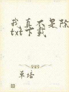 我真不是除念师txt下载