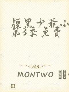 腹黑少爷小甜妻第3季免费