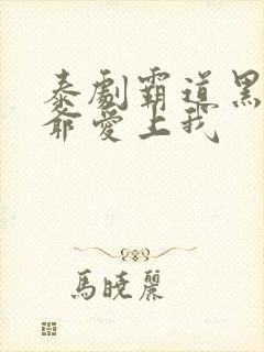 泰剧霸道黑帮少爷爱上我