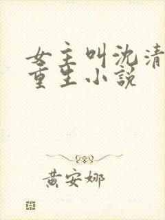 女主叫沈清宁的重生小说