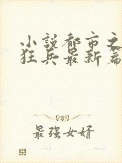 小说都市之最强狂兵最新篇章