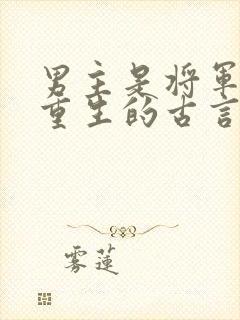 男主是将军女主重生的古言