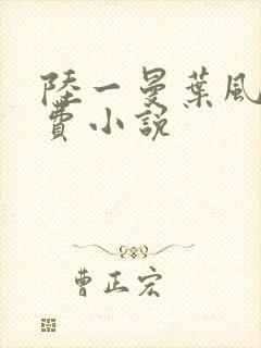 陆一曼叶风云免费小说