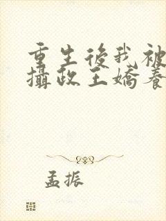 重生后我被反派摄政王娇养了