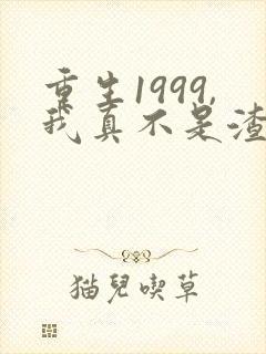 重生1999,我真不是渣男啊