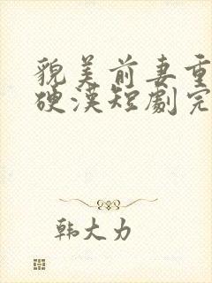 貌美前妻重生嫁硬汉短剧完整版多少集