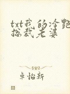 txt我的冷艳总裁老婆