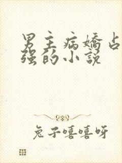 男主病娇占有欲强的小说