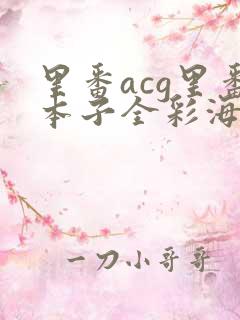 里番acg里番本子全彩海贼王